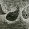 Detail of greyscale monotype print imagining fossils