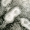 detail of greyscale monotype linking a larger version