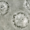 detail of greyscale monotype linking a larger version