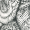 pencil drawing linking to a selection of images from the book called note to self