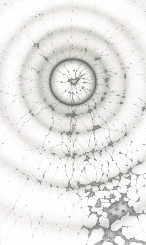a pencil drawing featuring concentric circles about the regulation of molecular networks