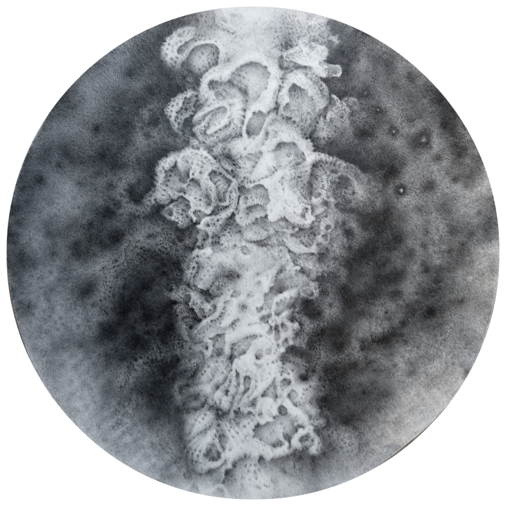 a laboratory filter paper with ink and pencil details